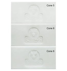 SIO-2 ANETO White Porcelain Clay 11lb Cone 6-8