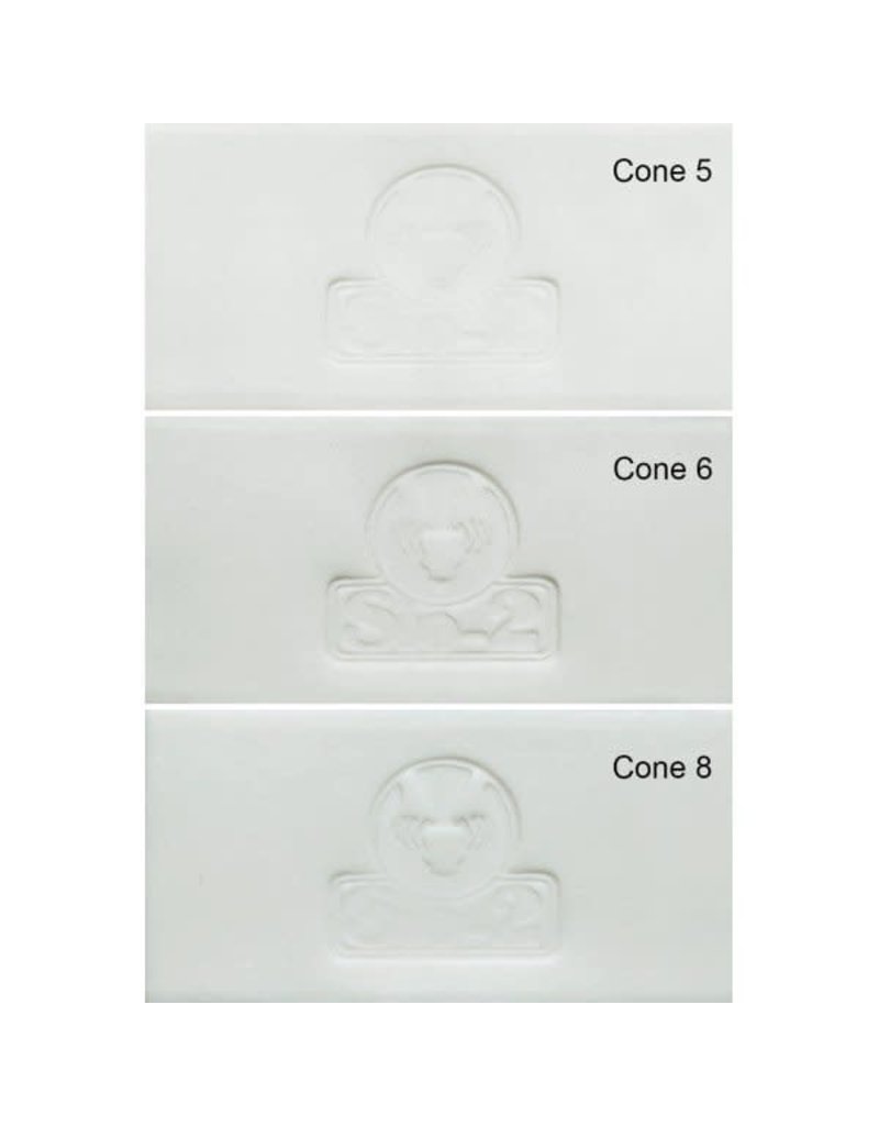 SIO-2 ANETO White Porcelain Clay 11lb (Cone 6 - 8)
