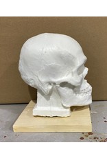 Just Sculpt SONDOW Skull