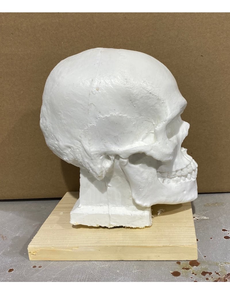 Just Sculpt SONDOW Skull