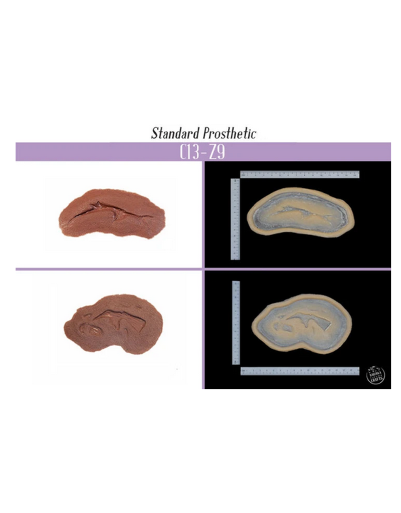 Baburka Cinema Crafts Cuts - C13 + Z9 Silicone Prosthetic