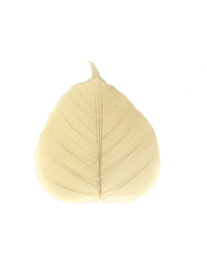 Just Sculpt Ficus Leaf 6" (Pack of 5)