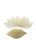 Just Sculpt Rubber & Ficus Leaf (Pack of 10)