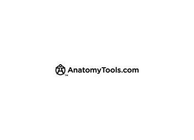 Anatomy tools