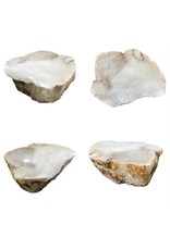 Stone 59lb Mario's White Translucent Alabaster 16x13x6 #101189