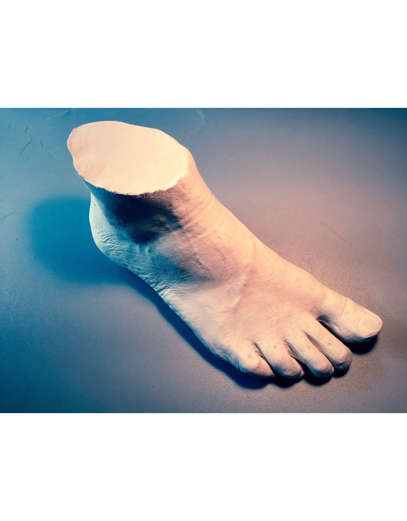 Foot Casting Kit Alginate - The Compleat Sculptor