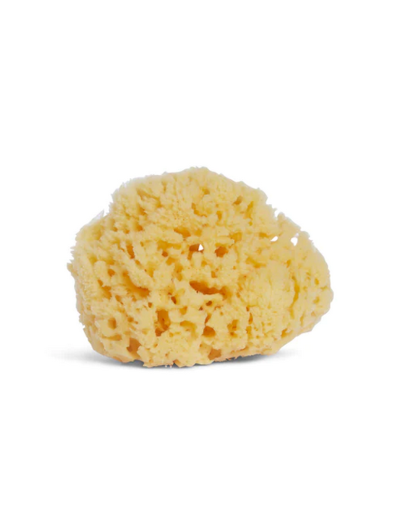 Just Sculpt Natural Sea Sponge 8-9in