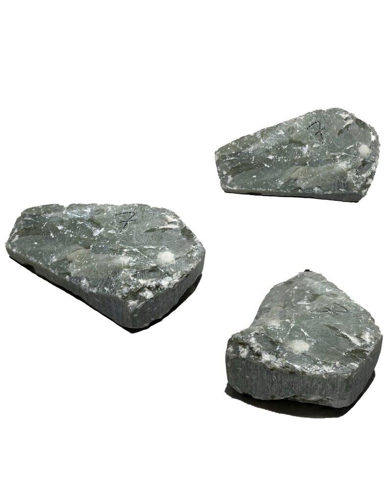 Stone 7lb Indian Apple Green Soapstone 9x5x2 #021060