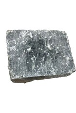 Stone 28lb Grey Green Soapstone 10x8x3 #15447
