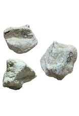 Stone 8lb White Soapstone #099017