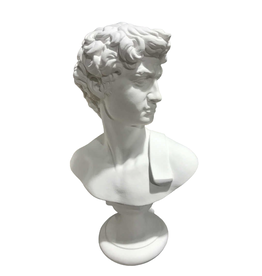 Just Sculpt David Plaster Bust