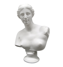 Just Sculpt Venus Plaster Bust