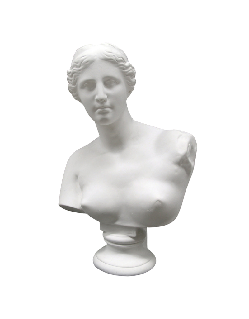 Just Sculpt Venus Plaster Bust