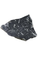 Stone 9lb Fossil Stone 12x14 #381029