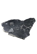 Stone 12lb Fossil Stone 12x20 #381030