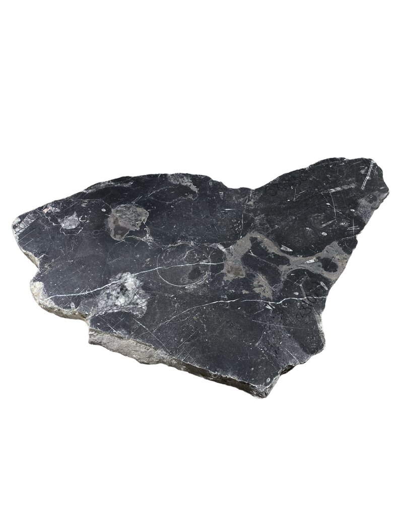 Stone 12lb Fossil Stone 12x20 #381030