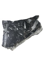 Stone 10lb Fossil Stone 10x15 #381032