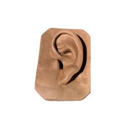 Just Sculpt Plaster Ear Of David Brown