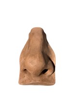 Just Sculpt Plaster Nose Of David Brown