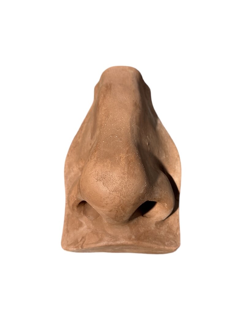 Just Sculpt Plaster Nose Of David Brown
