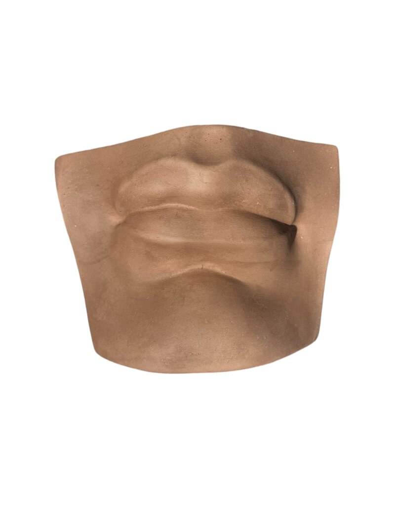 Just Sculpt Plaster Mouth Of David Brown