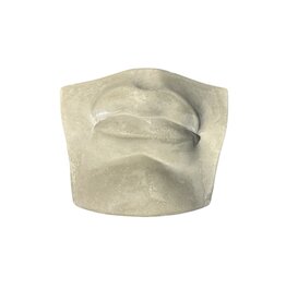 Just Sculpt Plaster Mouth Of David Gray