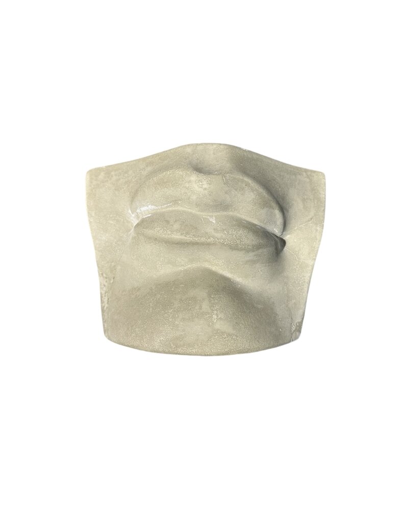 Just Sculpt Plaster Mouth Of David Gray
