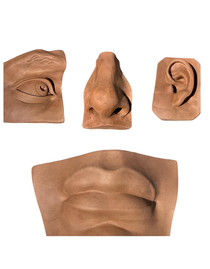 Just Sculpt David Plaster Facial Features Set of Four Brown