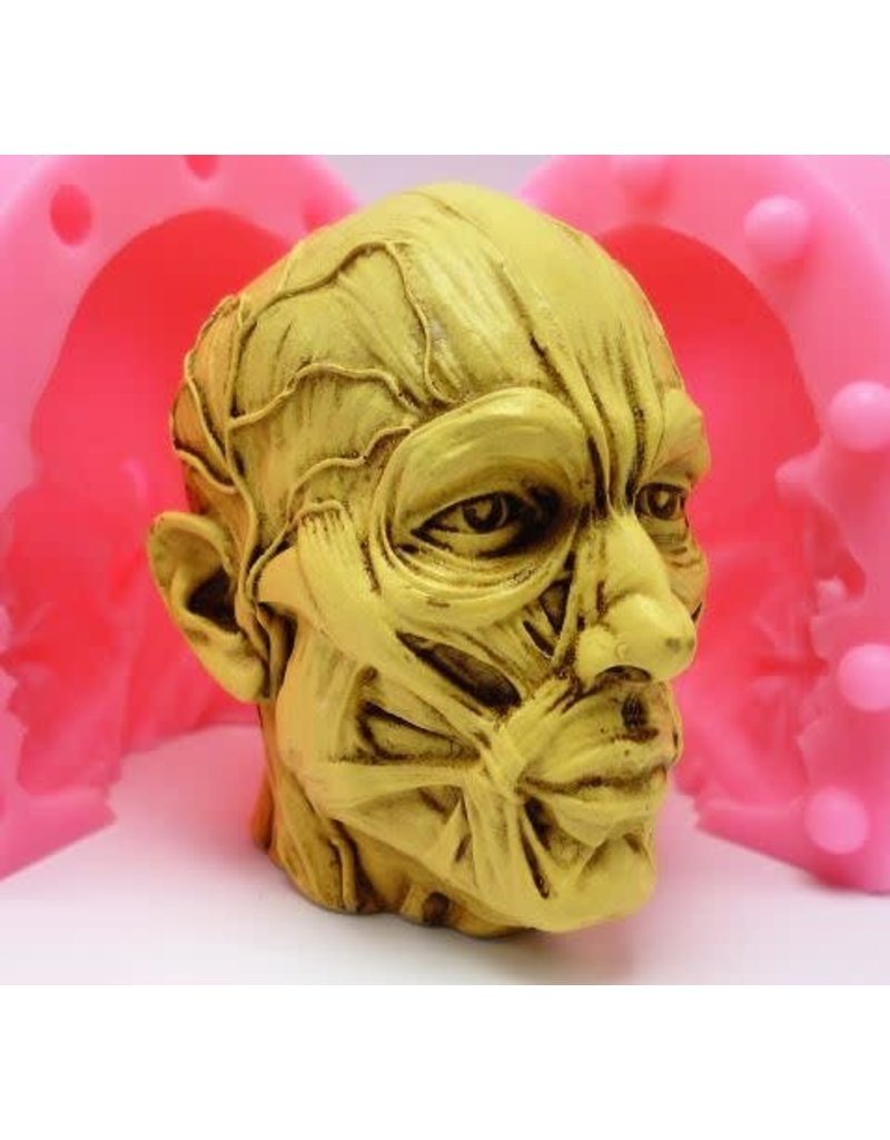 JS Molds Anatomical Head (2 part) Silicone Mold