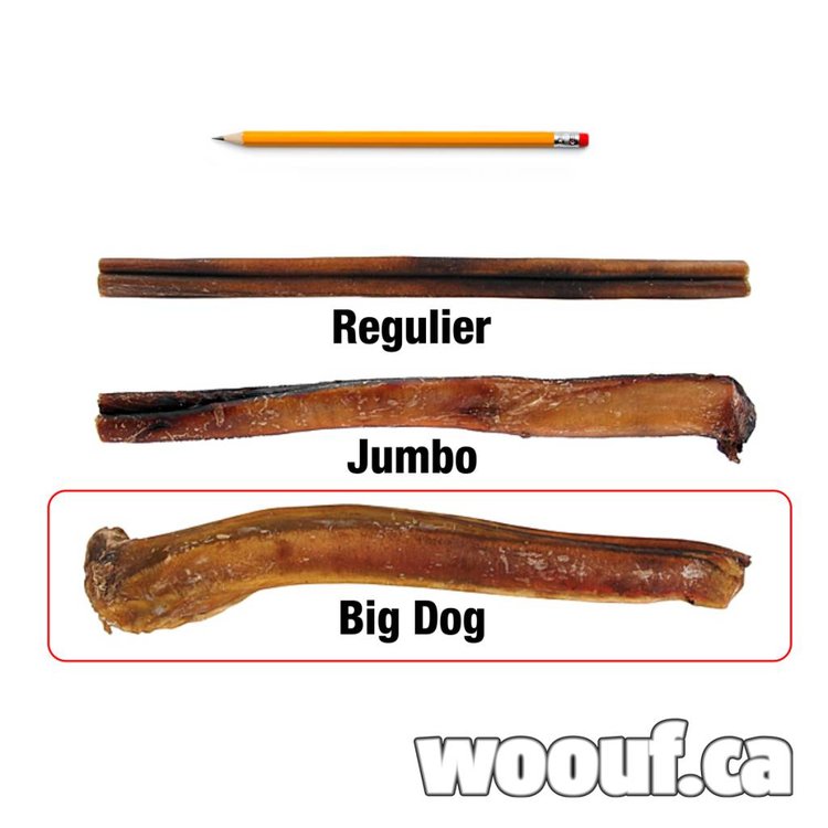 NODC Bully sticks BIG DOG 12'' Mastication woouf