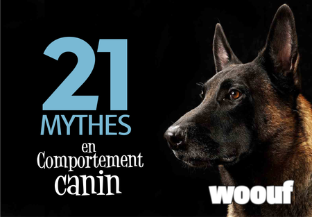 21 mythes sur le comportement canin