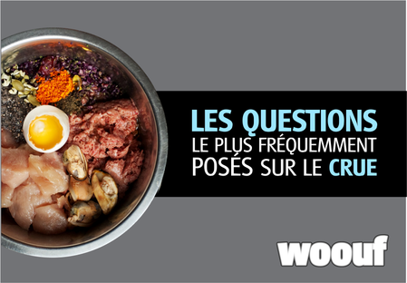 Les questions les plus fréquemment posés sur le crue