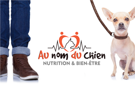 Blog sur la Nutrition & Bien être du chien
