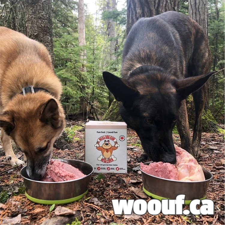 Mega Dog Raw Mega Blend Patties 24lb woouf