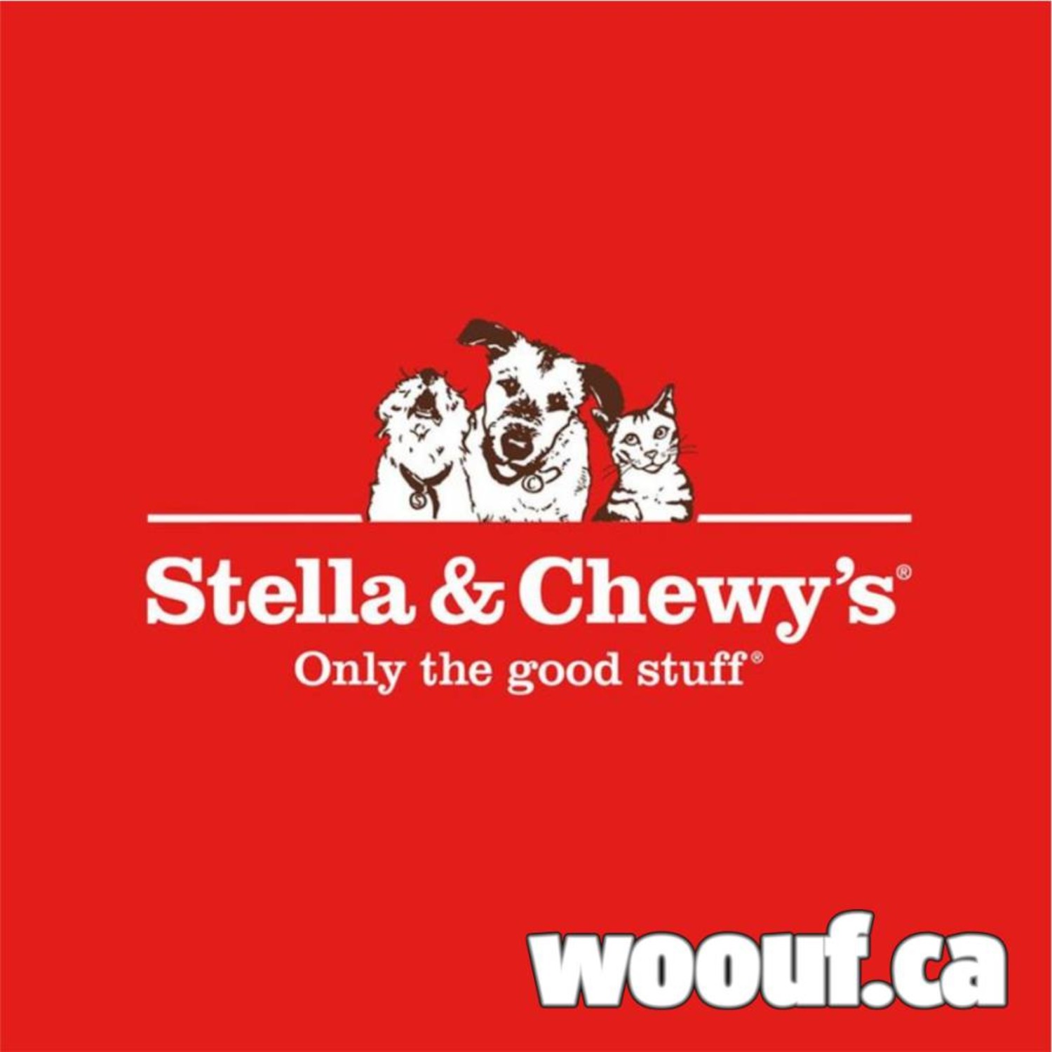 stella chewy