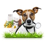 Produits naturels