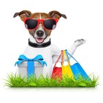 Cadeaux pour les passionnés des chiens!