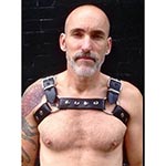 Maverick Leather Chest Harness