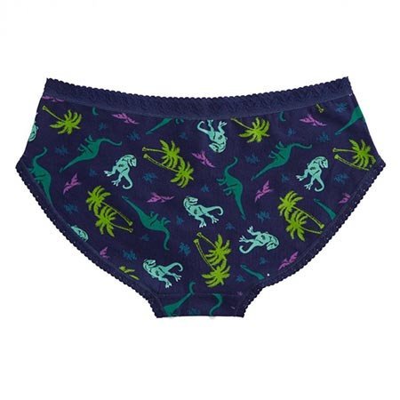 Land of the Dino Underwear, Hipster Panty