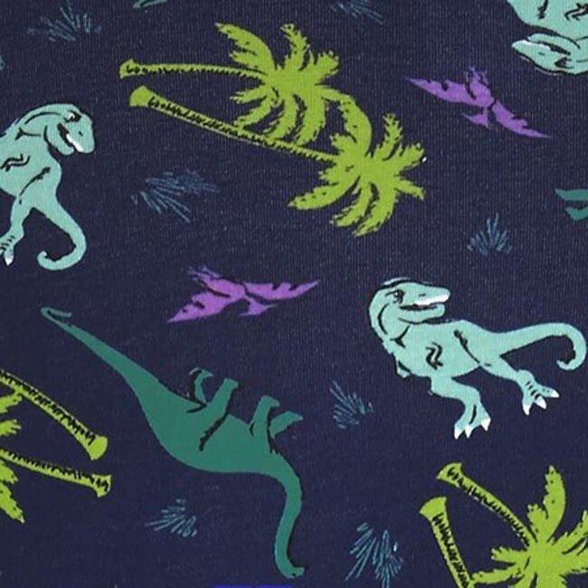 Land of the Dino Underwear, Hipster Panty