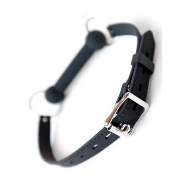 Silicone Bit Gag with Silicone Strap