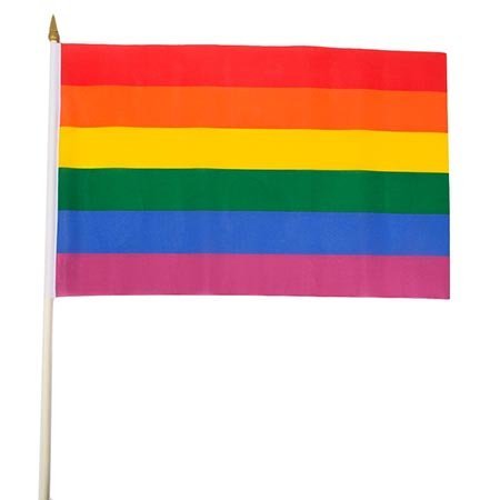 Rainbow Stick Flag
