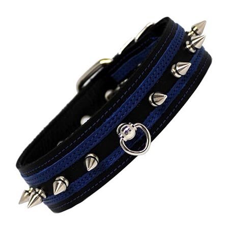 Post Ring And Spike Collar, Black/Blue