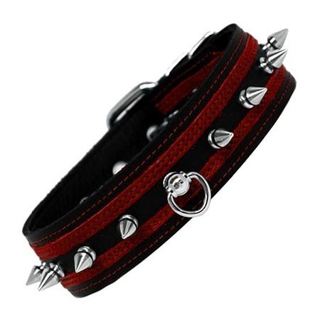 Post Ring And Spike Collar, Black/Red
