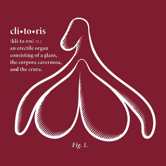 Clitoris T-shirt, Fitted Hourglass Cut
