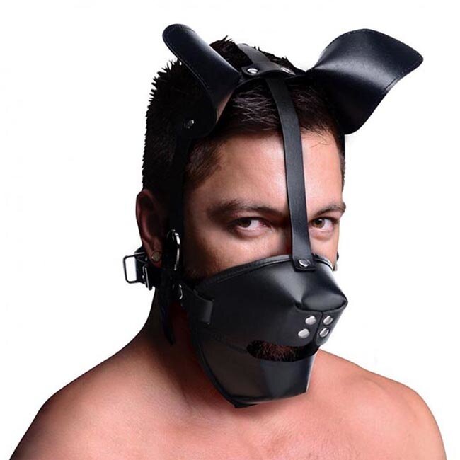 Puppy Play Hood and Breathable Ball Gag