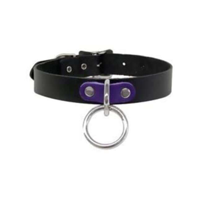 Halter Ring Collar, Black/Purple
