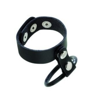 Dual Ring Cage