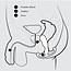 Aneros Eupho, Trident Series Prostate Stimulator