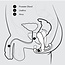 Aneros MGX, Trident Series Prostate Stimulator
